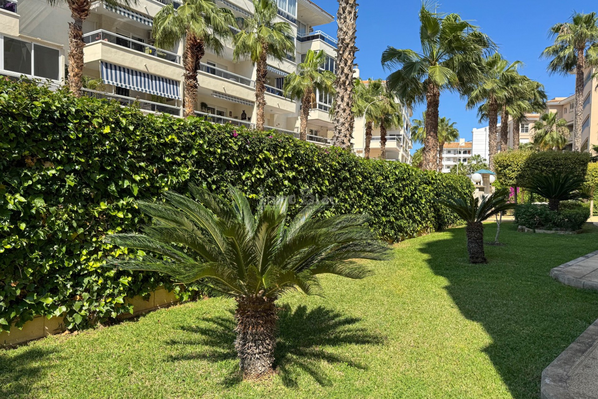 Alquiler a corto plazo - Apartamento / piso - Albir - Centro