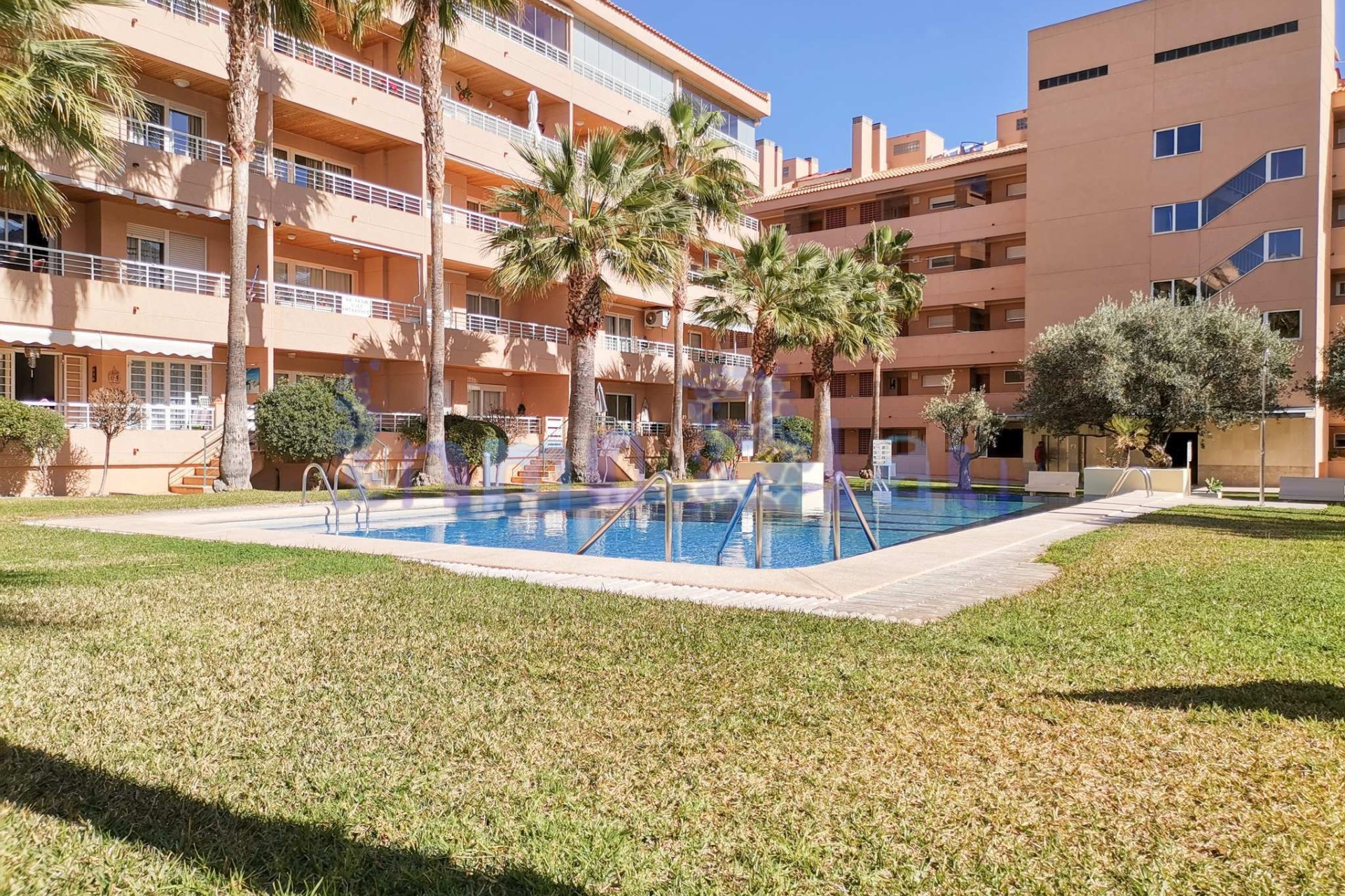 Alquiler a corto plazo - Apartamento / piso - Albir - Centro