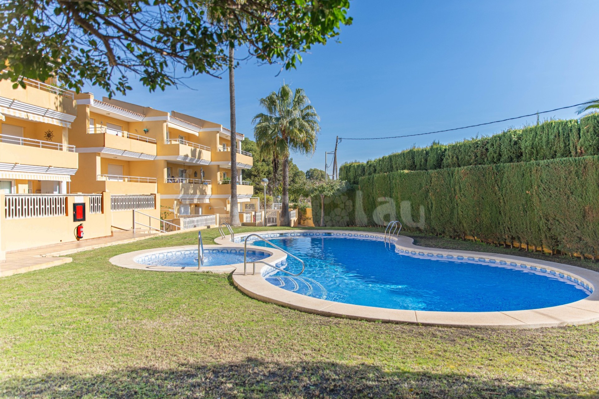 Alquiler a corto plazo - Apartamento / piso - Albir