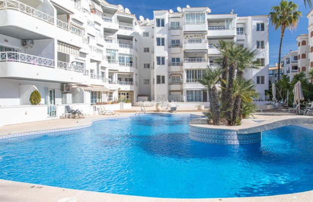 Apartamento / piso - Alquiler a corto plazo - Albir - Centro