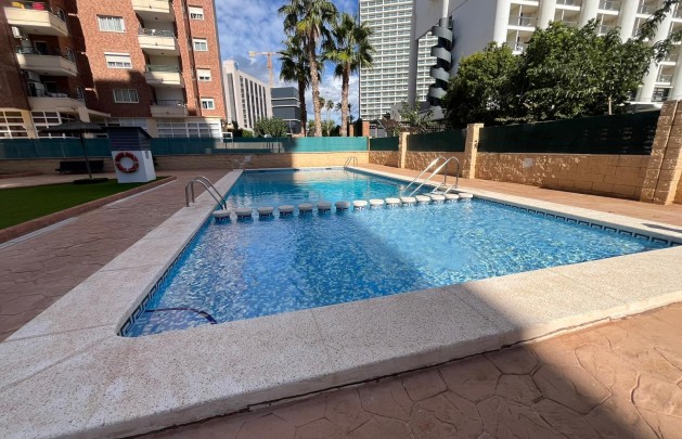 Apartment / flat - Long Term Rental - Benidorm - Levante