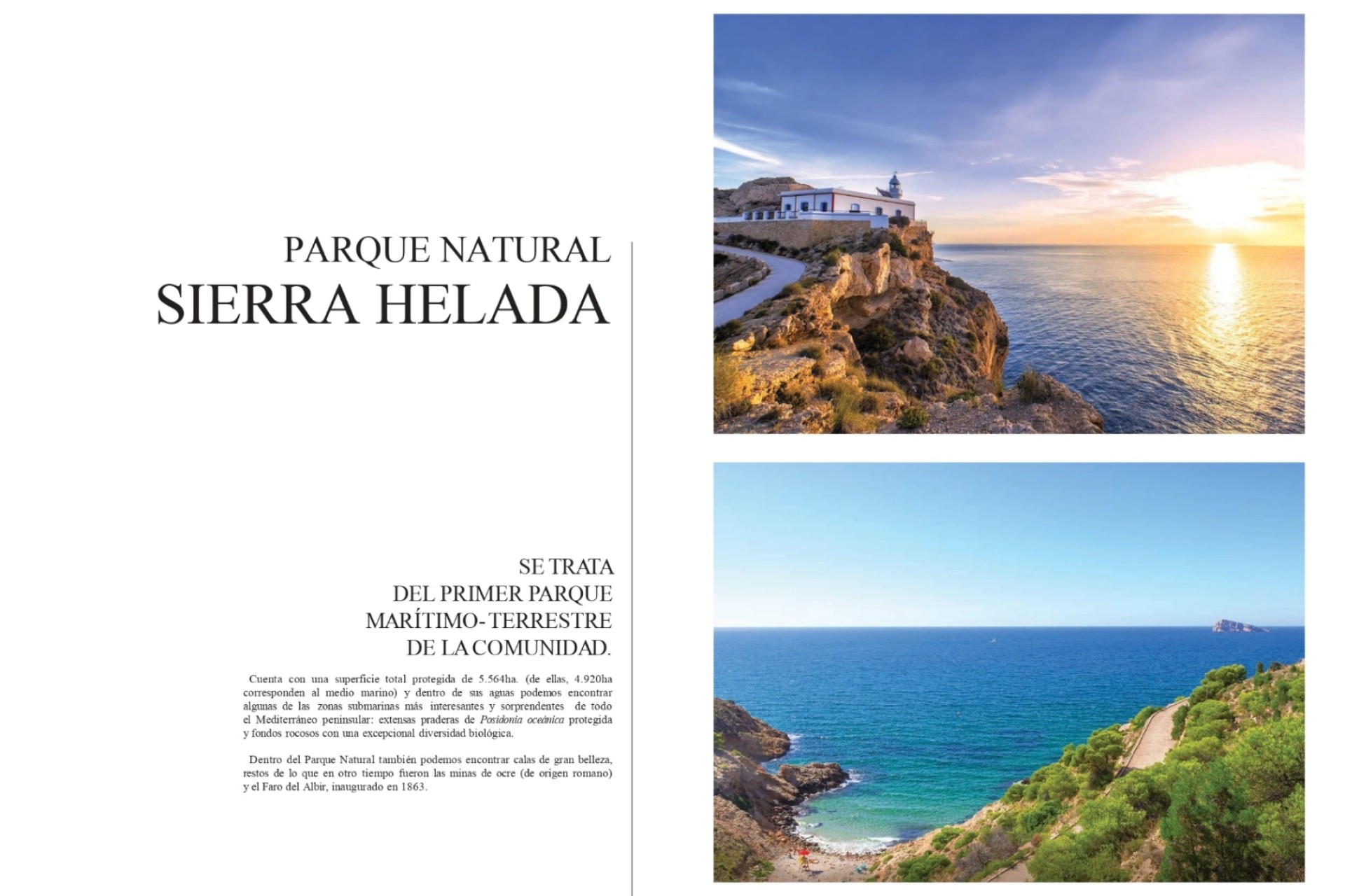 New Build - Apartment / flat - Albir - Centro