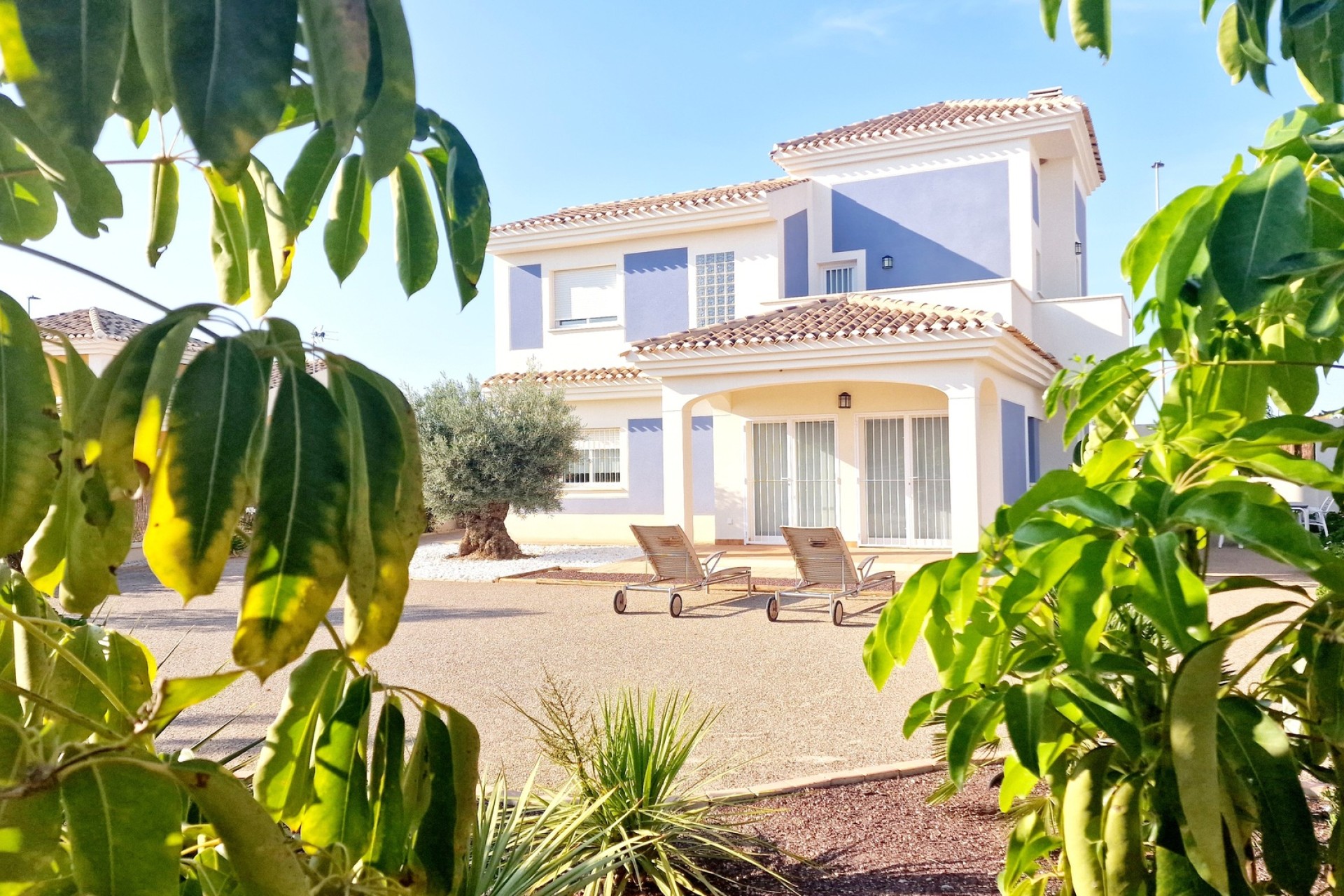 New Build - detached - Purias