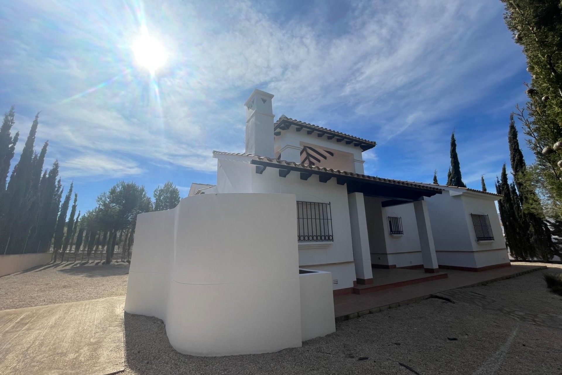 Nieuwbouw Woningen - detached - Fuente Alamo