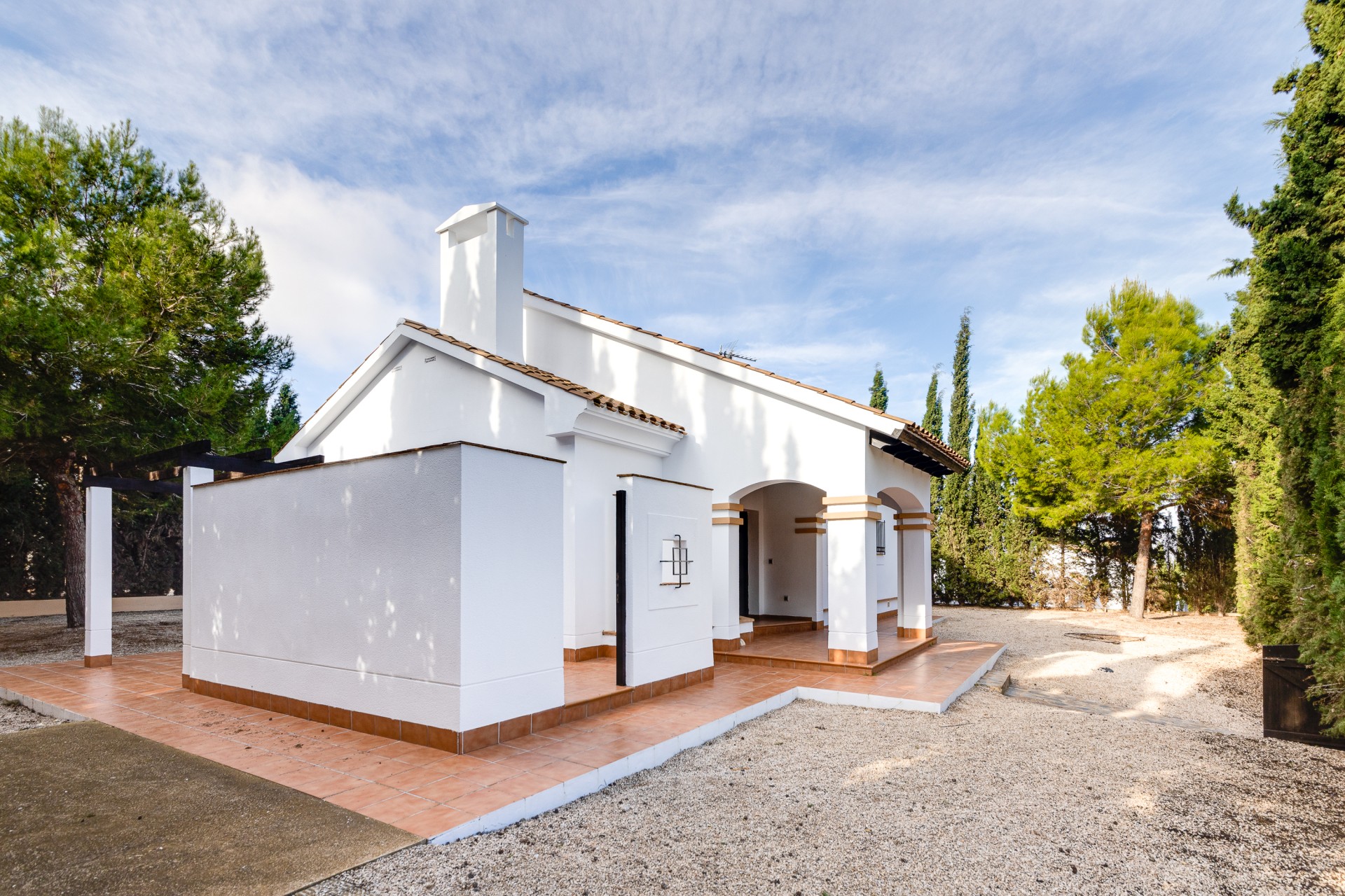 Nieuwbouw Woningen - detached - Fuente Alamo