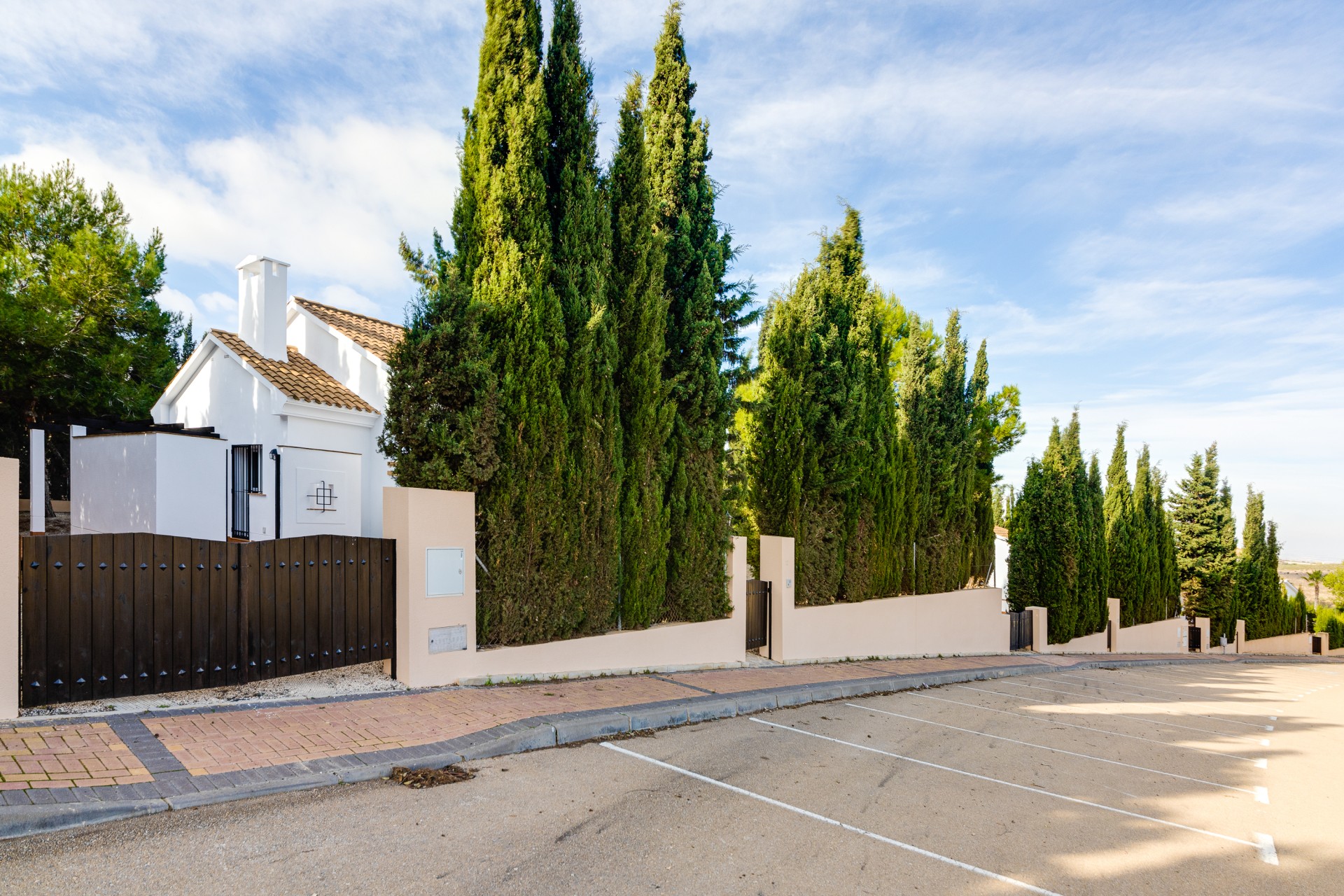 Nieuwbouw Woningen - detached - Fuente Alamo