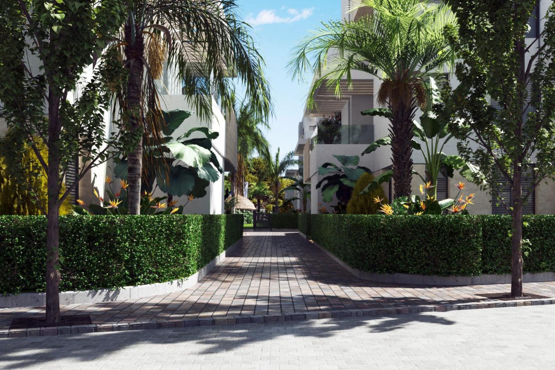 Nieuwbouw Woningen - ground-floor - Torre-Pacheco