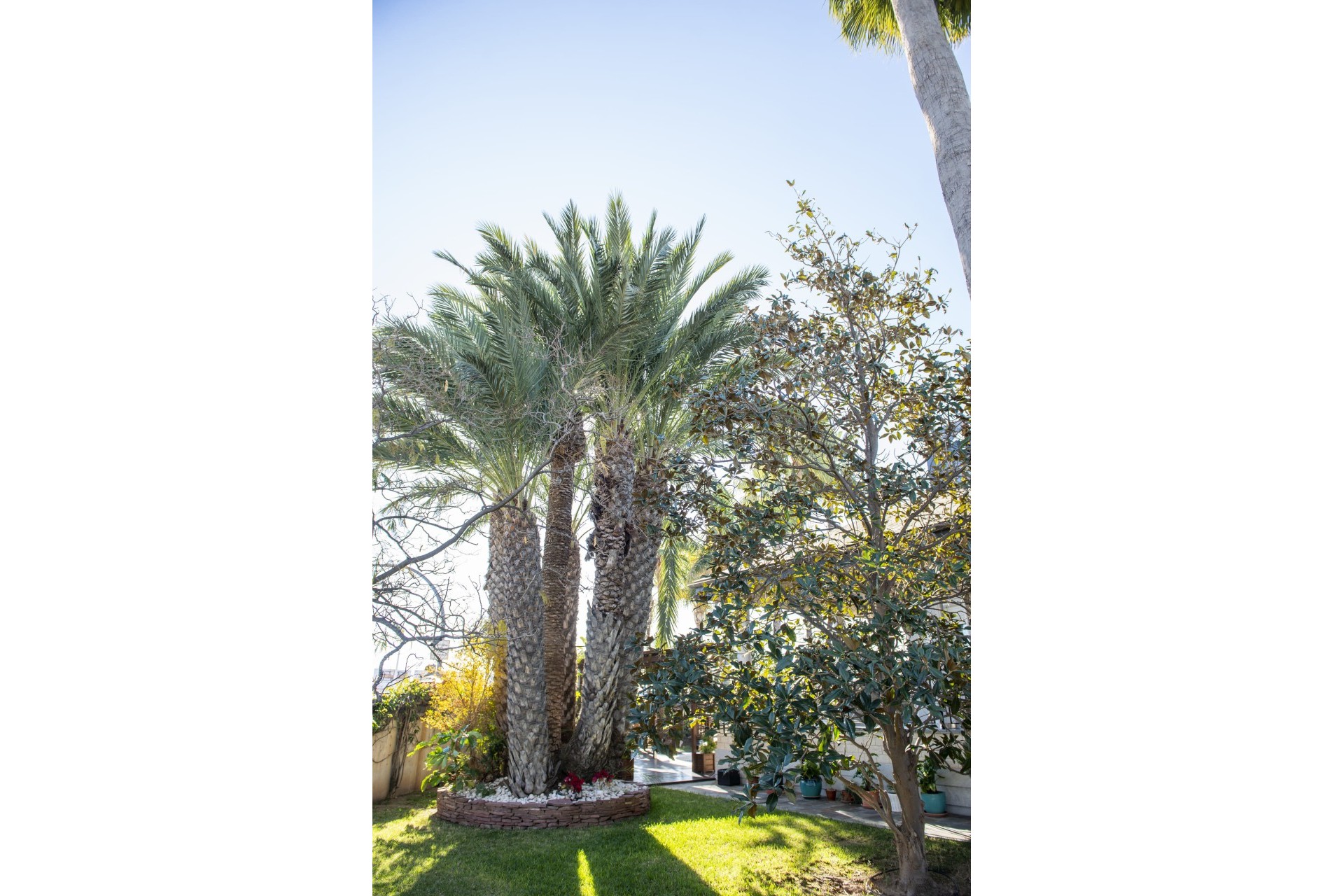 Nieuwbouw Woningen - Villa - San Pedro del Pinatar