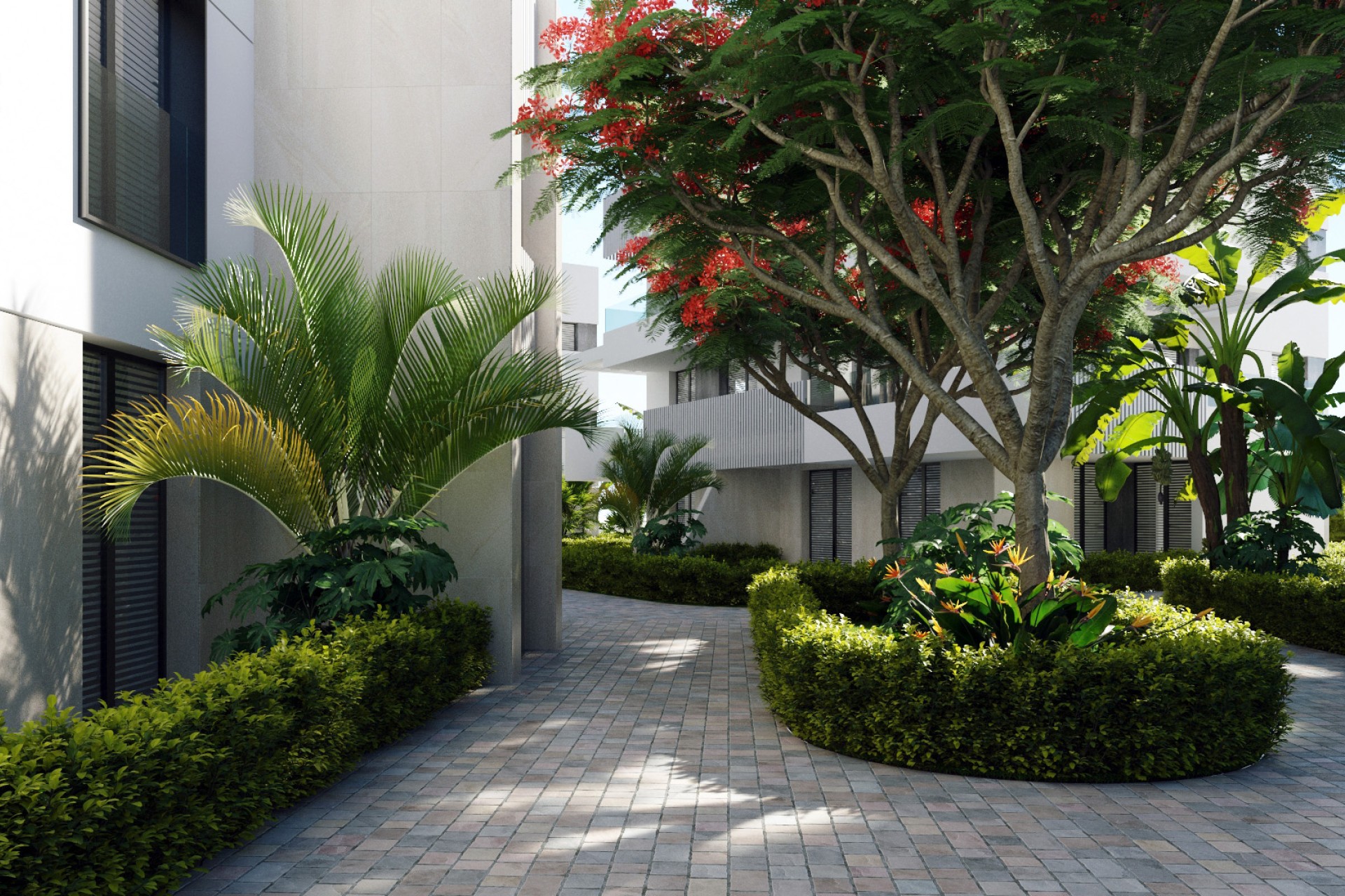 Obra nueva - apartment - Torre-Pacheco