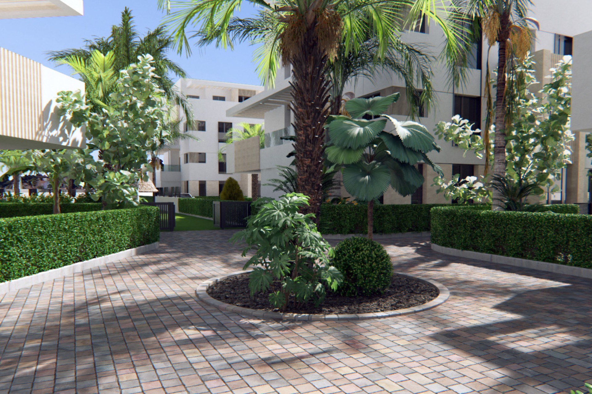 Obra nueva - apartment - Torre-Pacheco