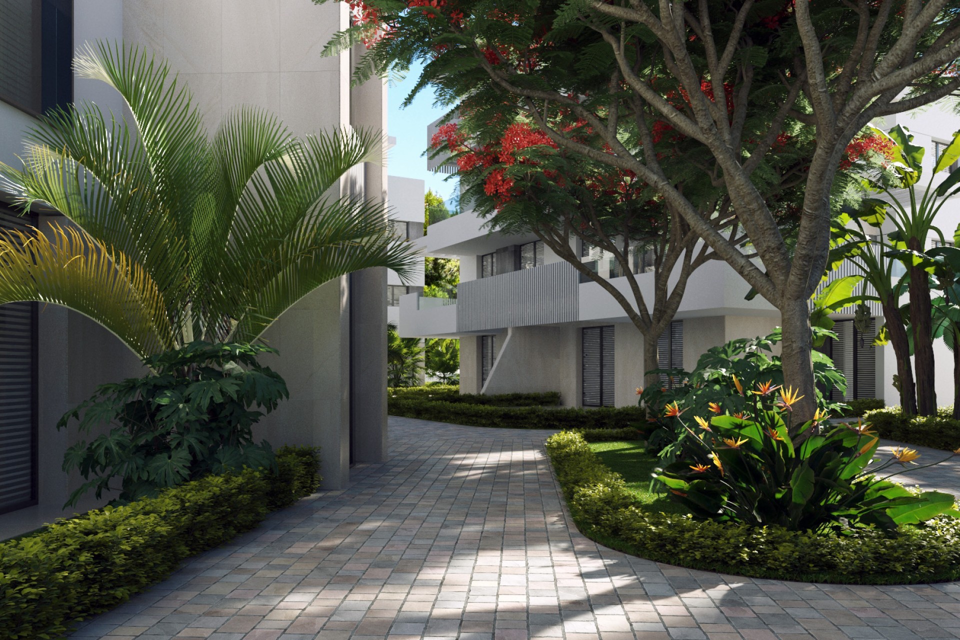 Obra nueva - apartment - Torre-Pacheco
