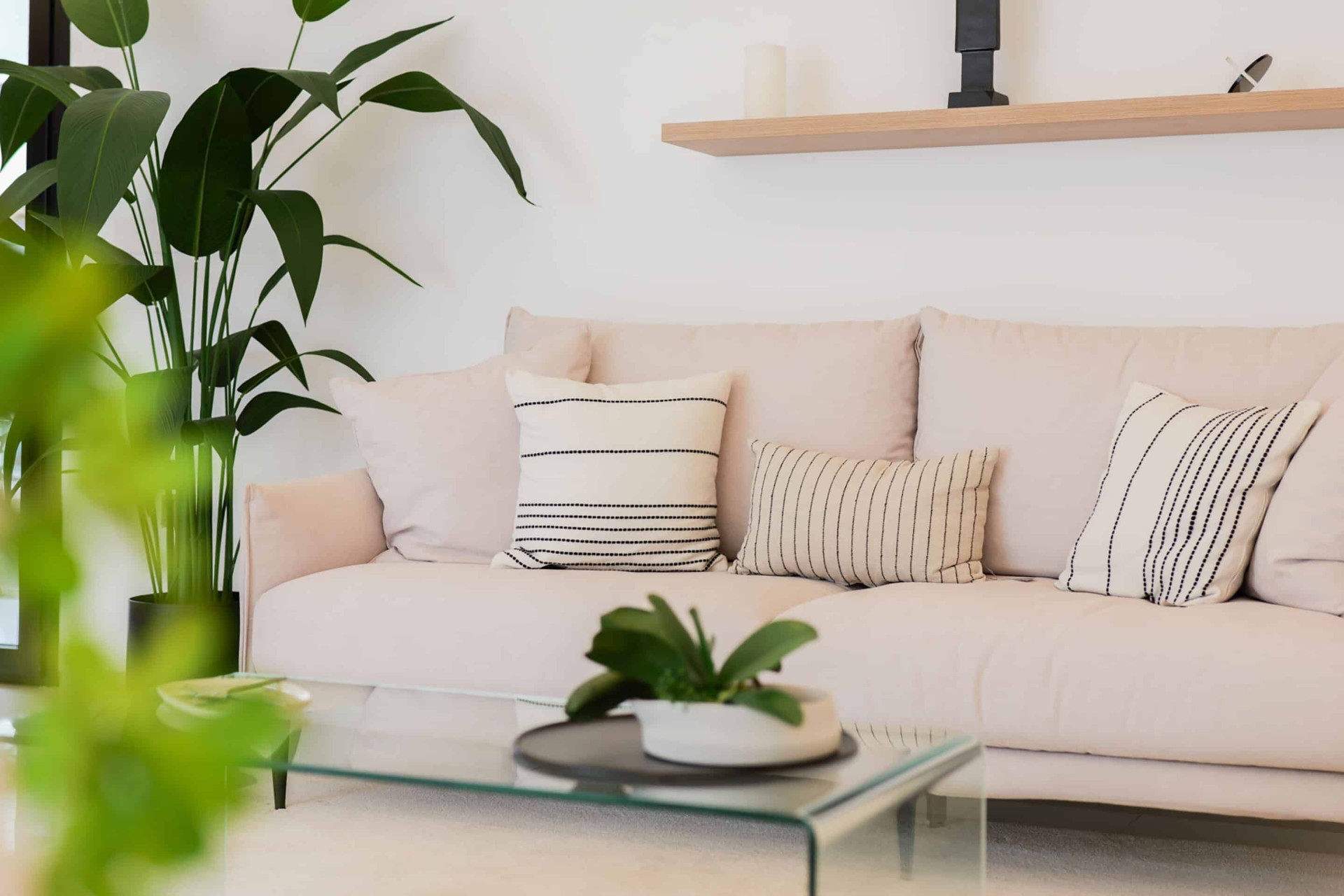 Obra nueva - detached - Ciudad Quesada