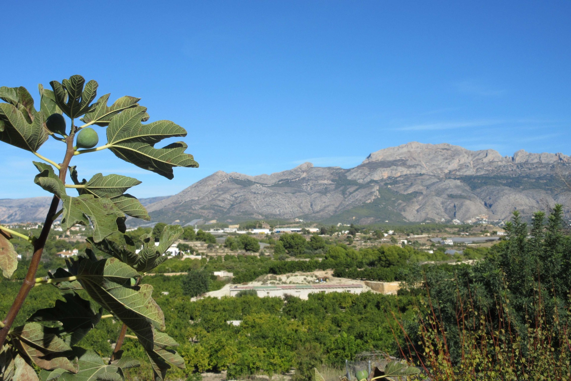 Resale - Plot / Land - Alfaz del Pi