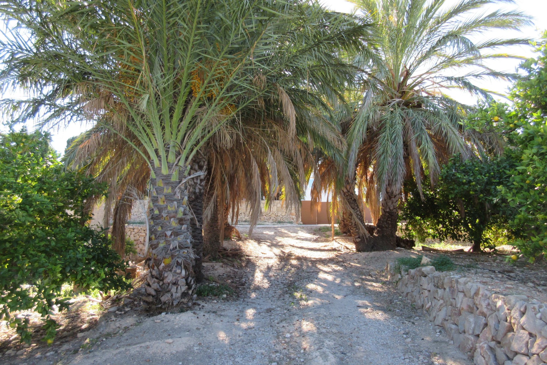 Resale - Plot / Land - Alfaz del Pi