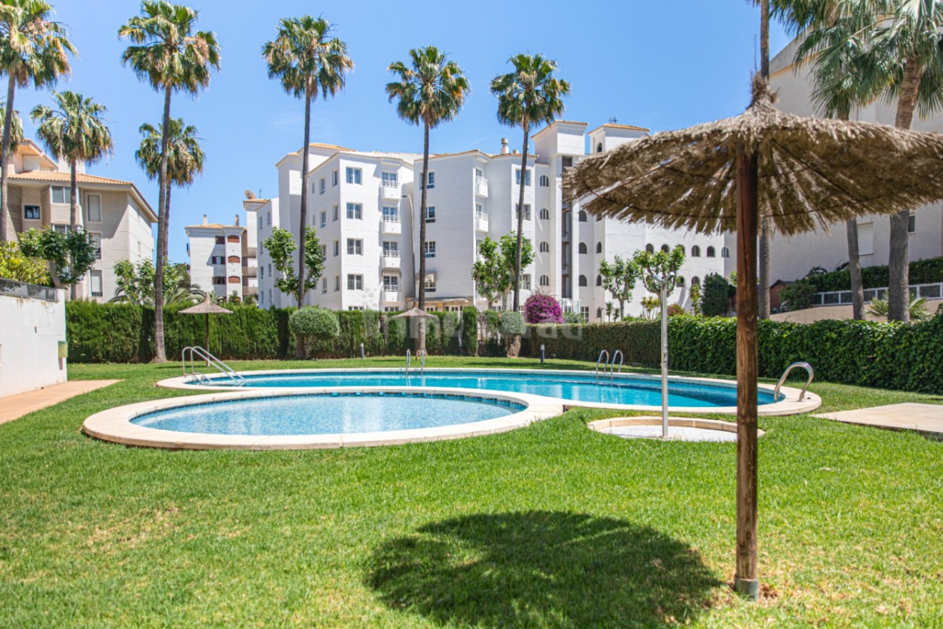 Reventa - Apartamento / piso - Albir - Centro
