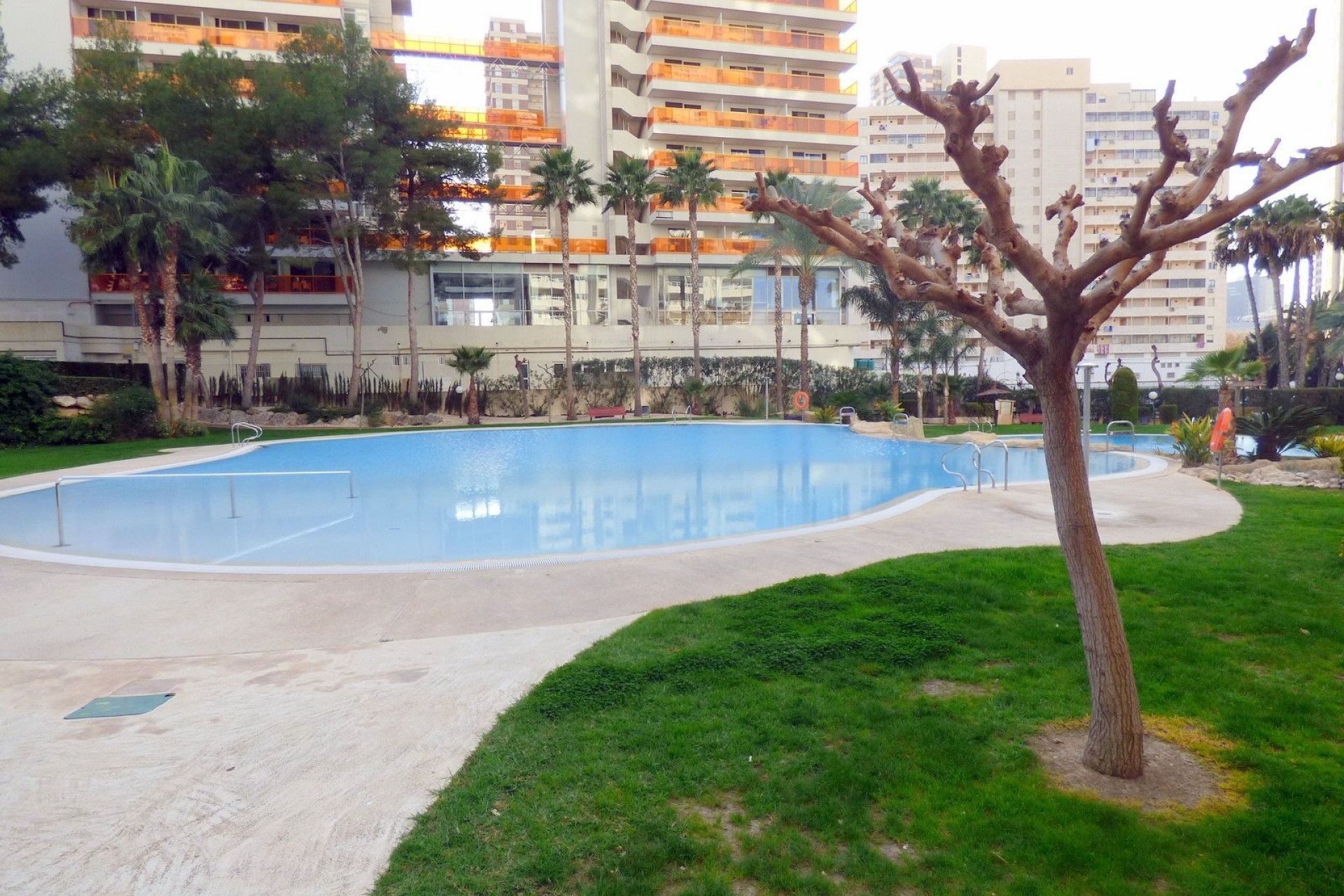 Reventa - Apartamento / piso - Benidorm - Centro