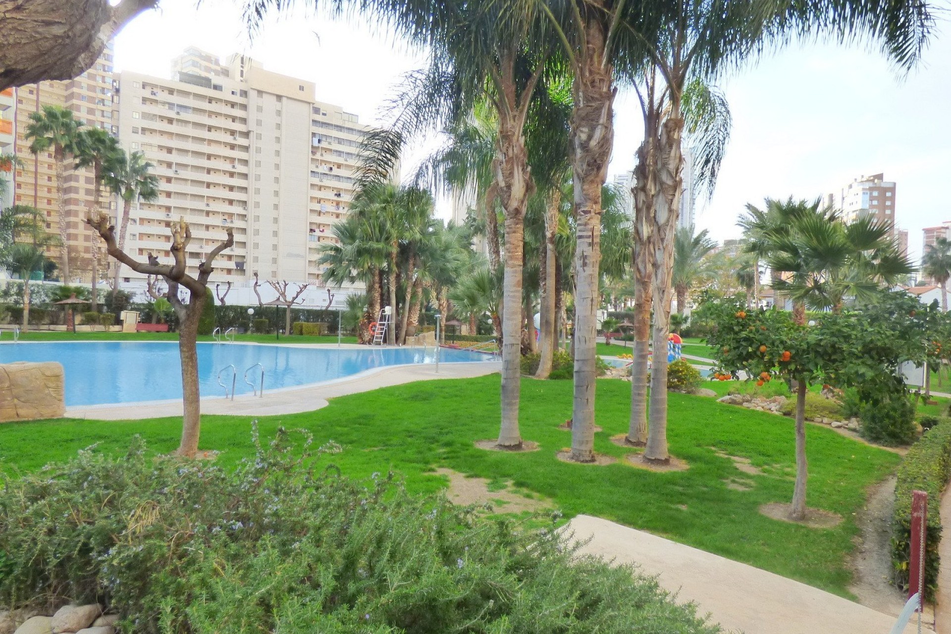 Reventa - Apartamento / piso - Benidorm - Centro