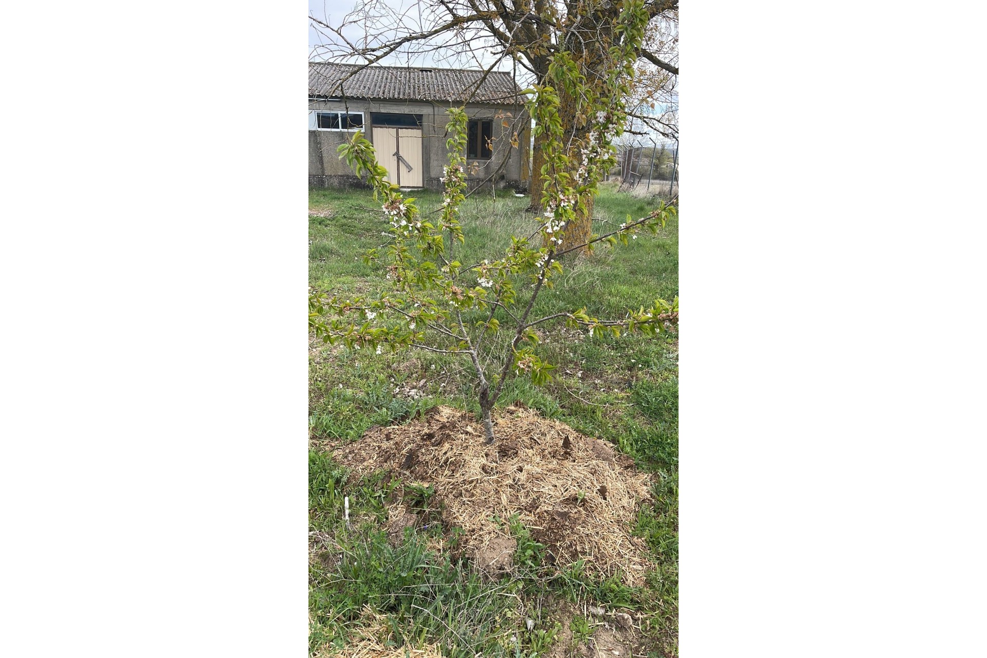 Reventa - Parcela / Terreno - Burgos