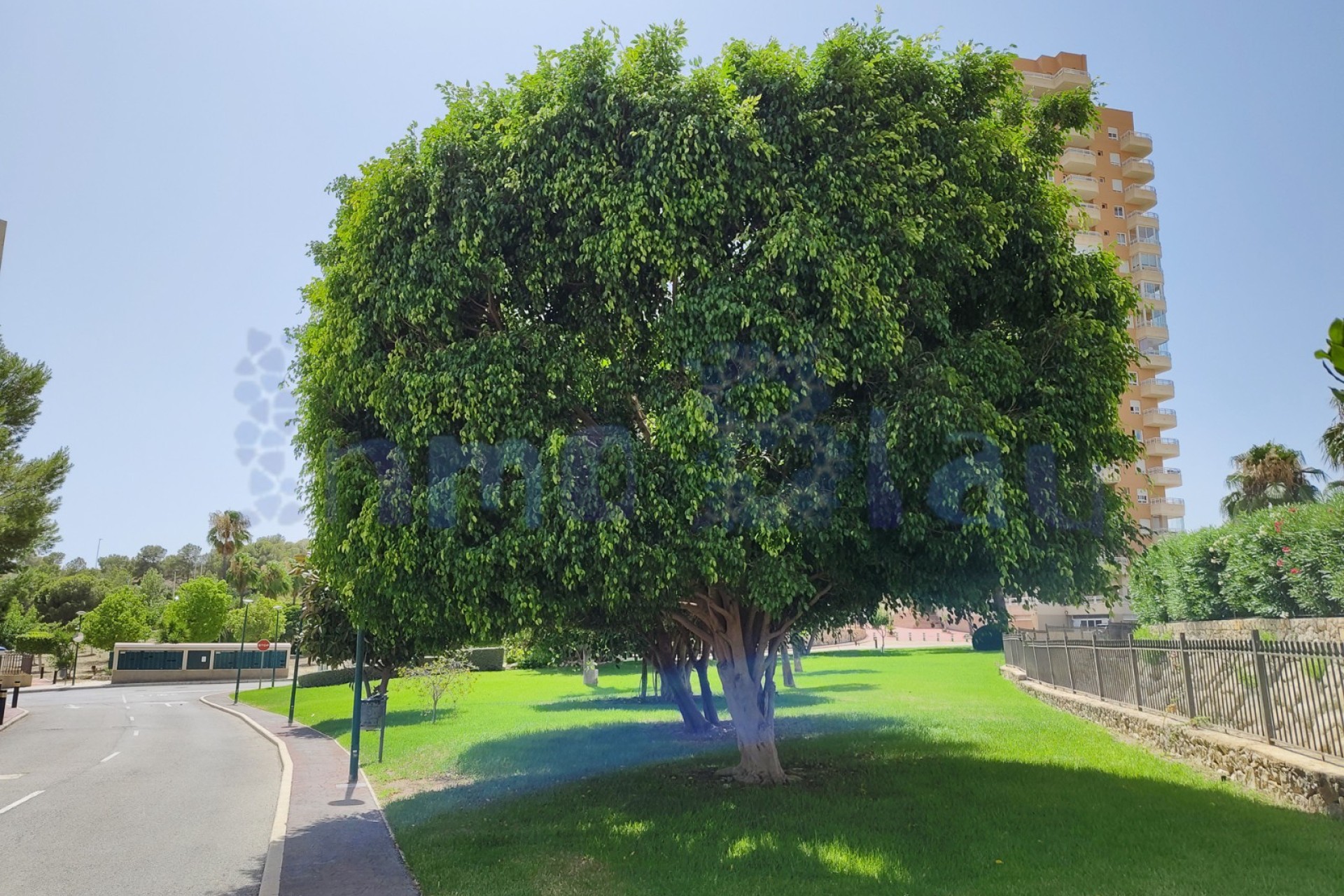 Sale - Apartment / flat - Benidorm - Zona de Poniente