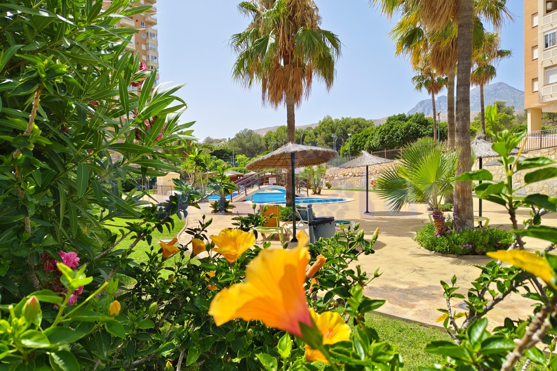 Sale - Apartment / flat - Benidorm - Zona de Poniente