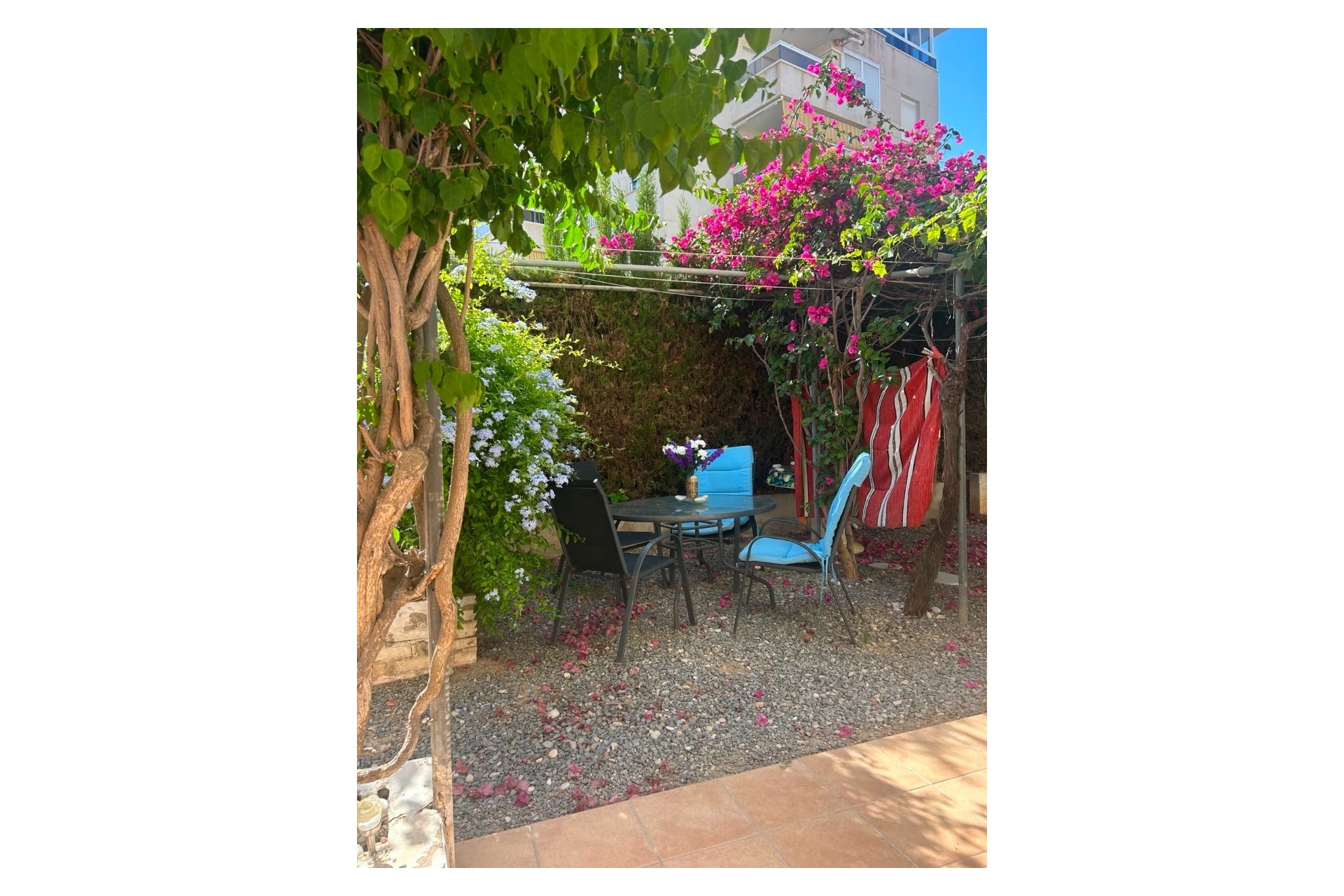 Short Term Rental - Apartment / flat - Albir