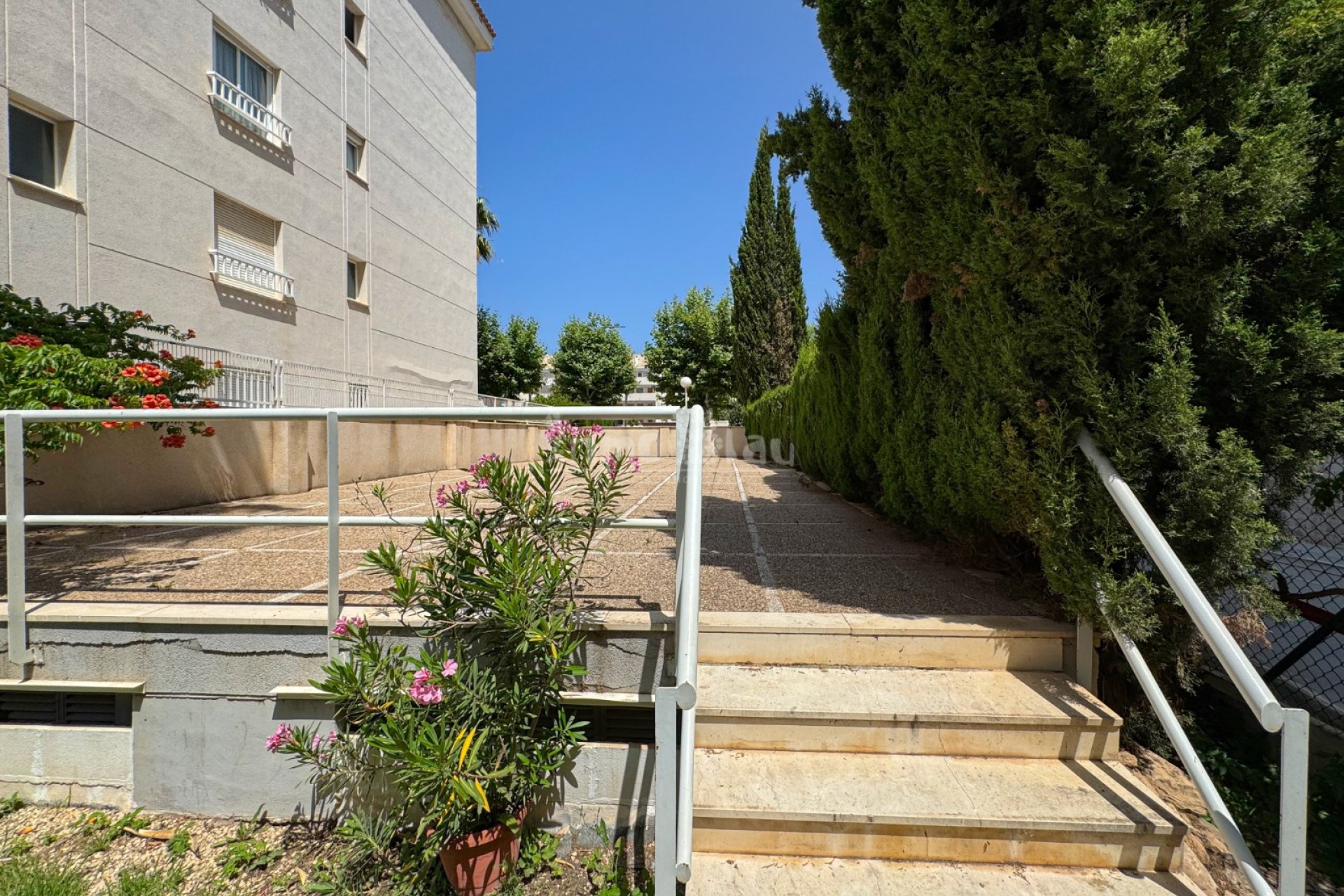 Venta - Apartamento / piso - Albir