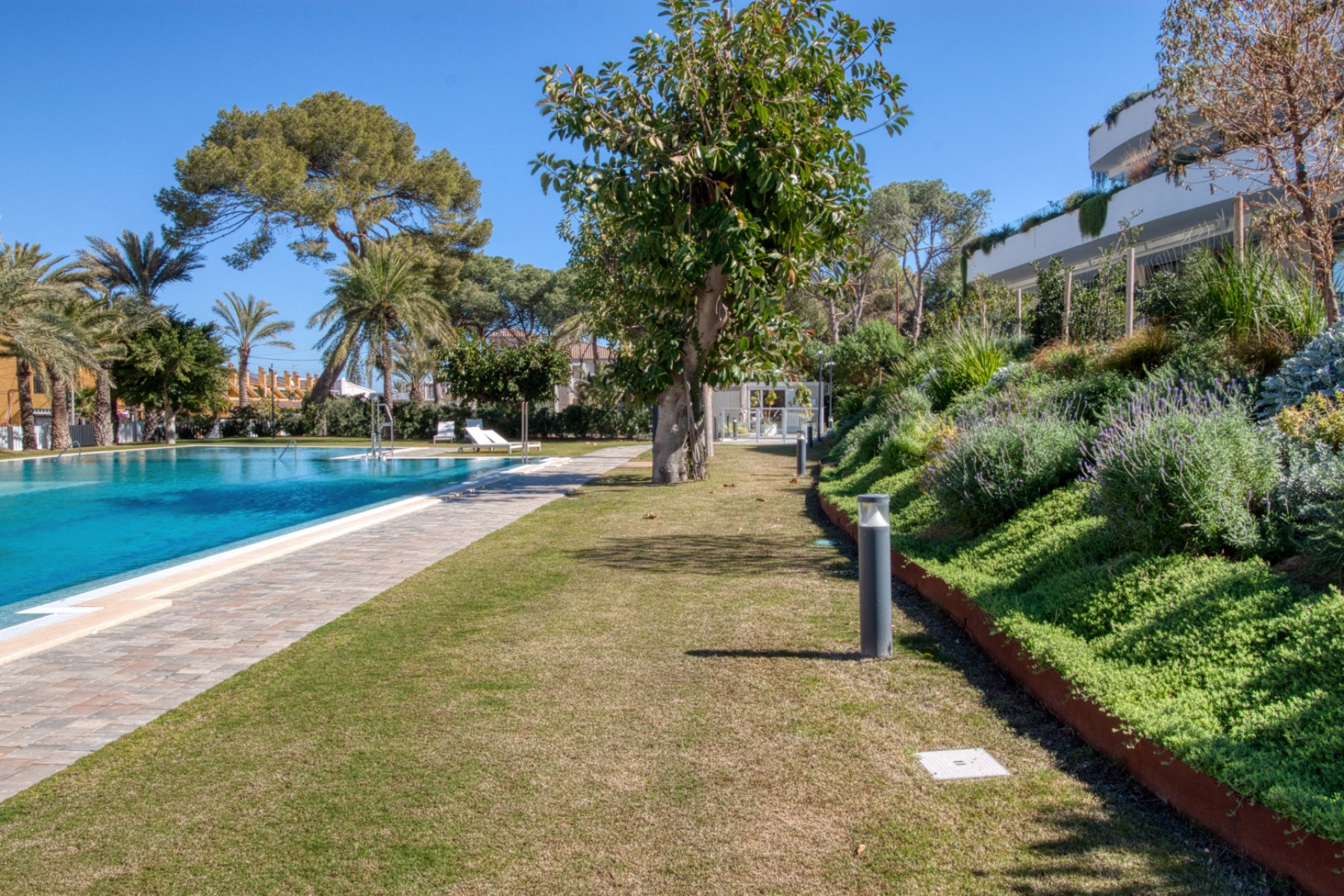 Venta - Apartamento / piso - Albir