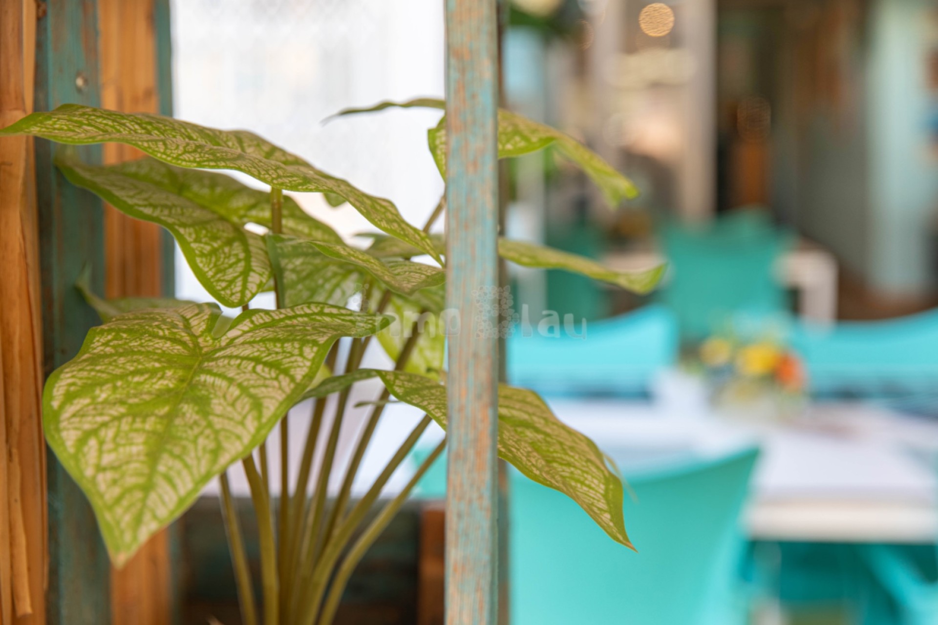 Venta - Local - Alfaz del Pi