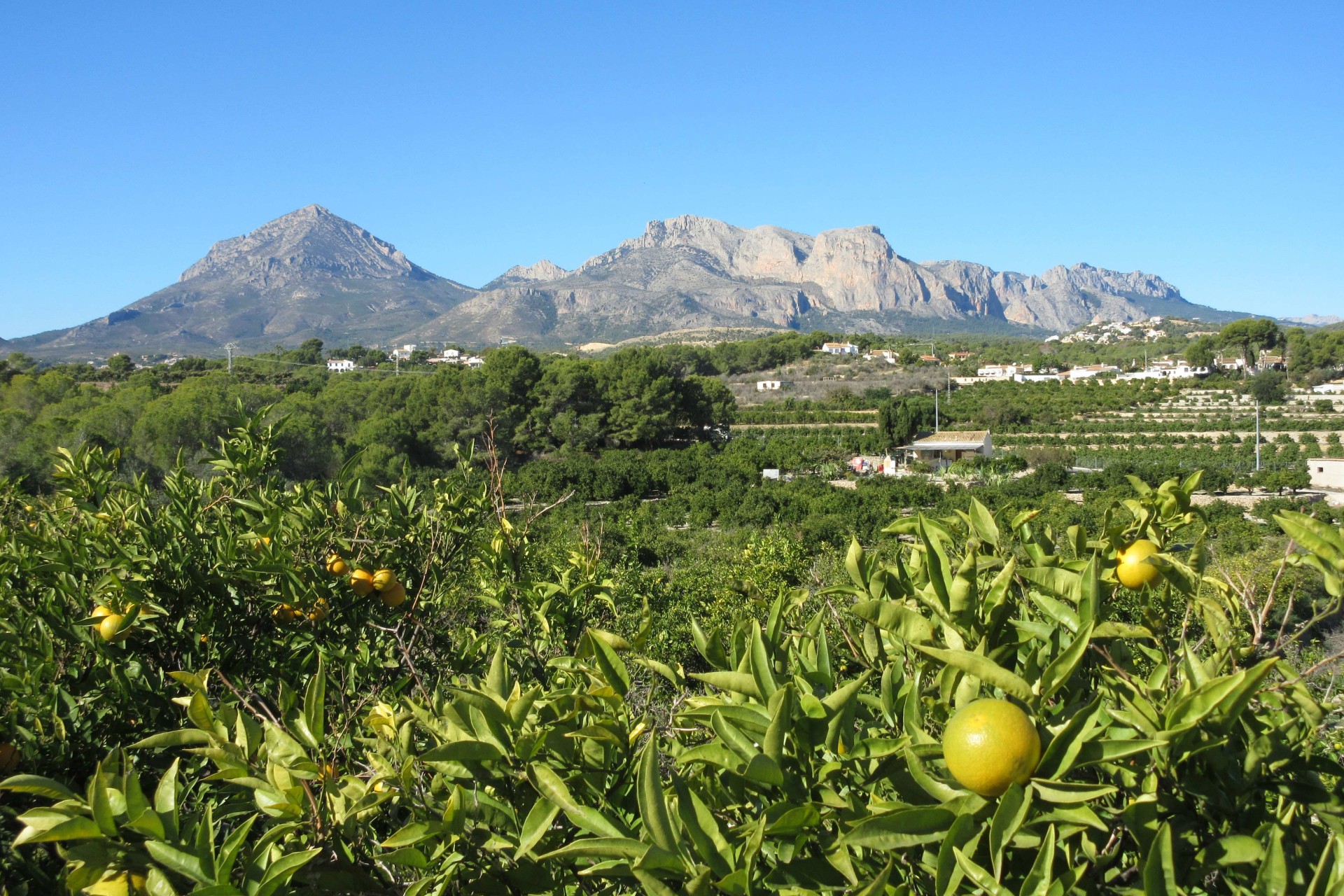 Venta - Parcela / Terreno - Alfaz del Pi