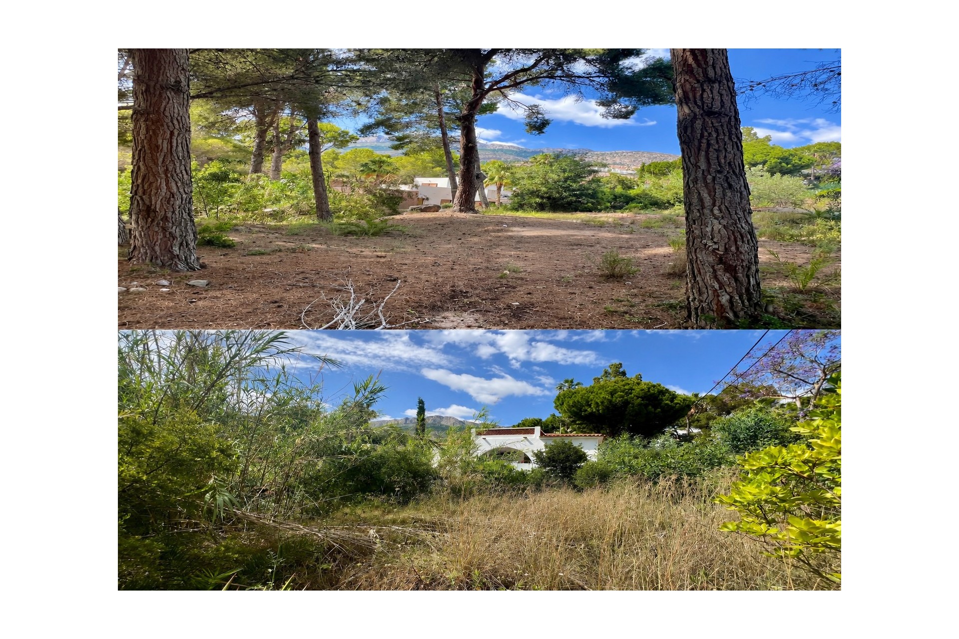 Venta - Parcela / Terreno - Altea