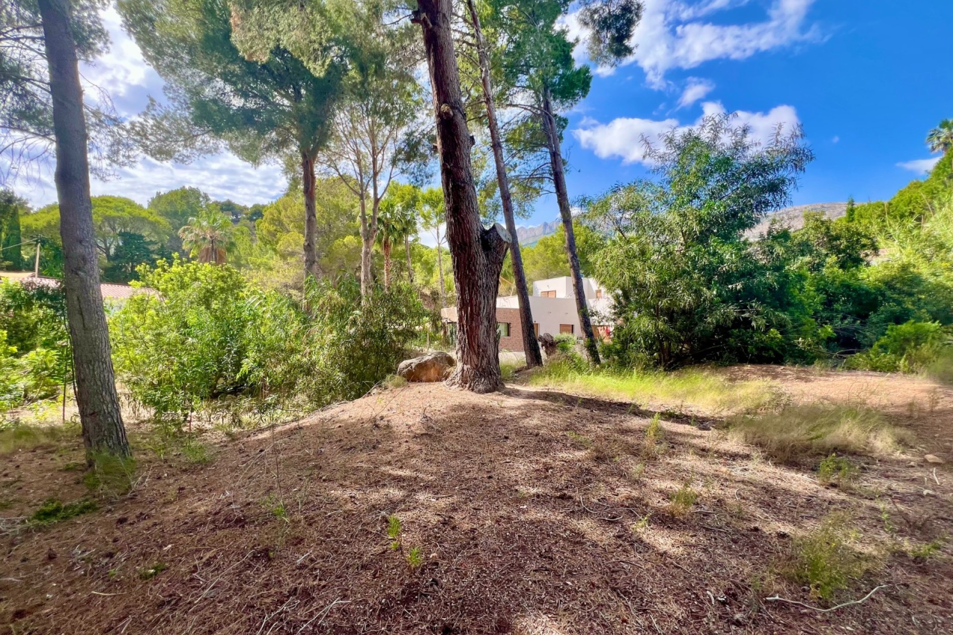 Venta - Parcela / Terreno - Altea