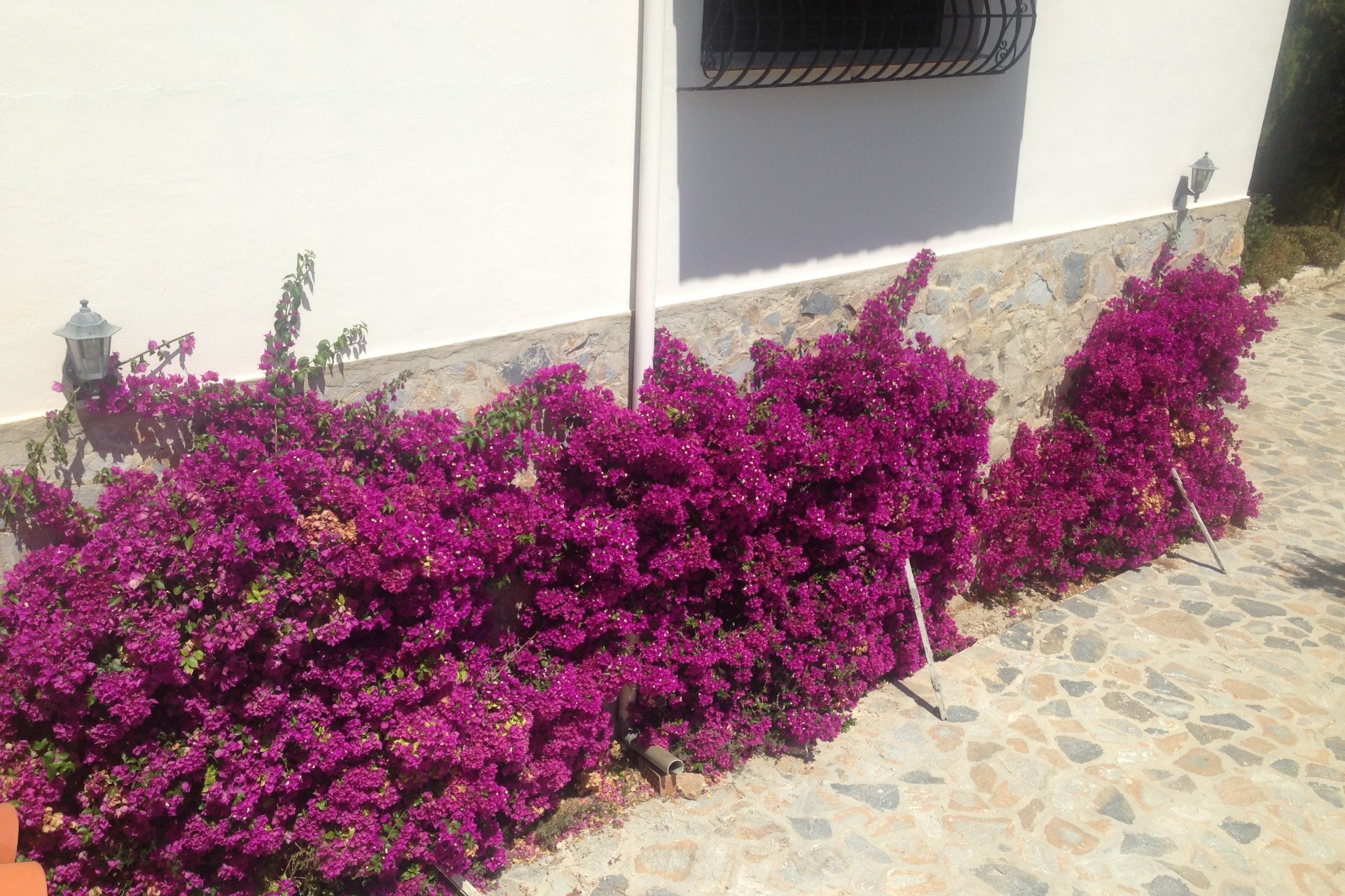 Venta - Villa - Bolulla