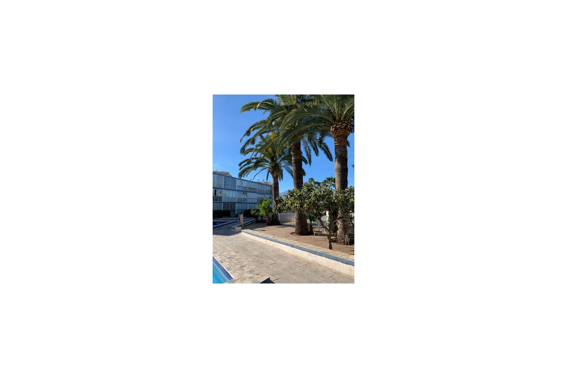 Verhuur Korte Termijn - Appartement / flat - Albir - Playa