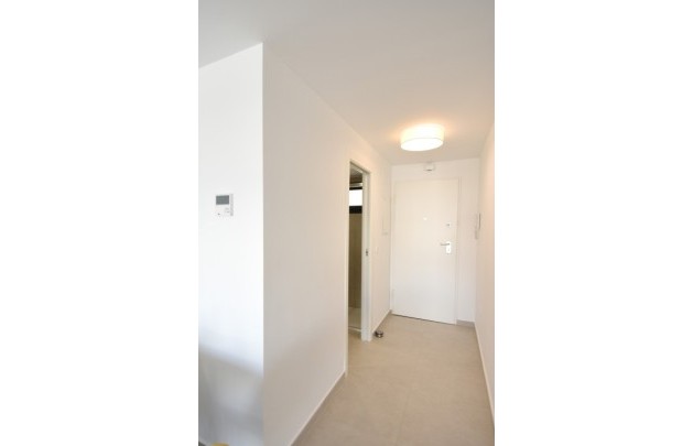 New Build - apartment - San Miguel de Salinas