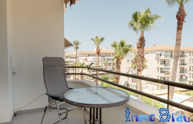 Alquiler a corto plazo - Apartamento / piso - Albir - Centro