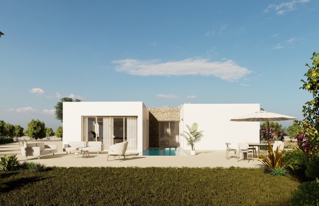 Obra nueva - detached - Algorfa