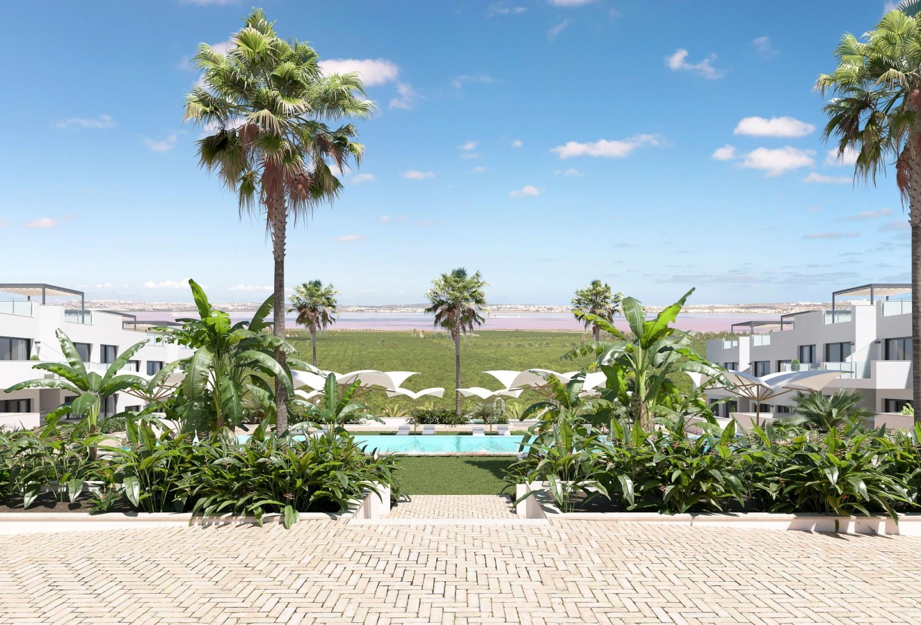 Obra nueva - high-bungalow - Torrevieja