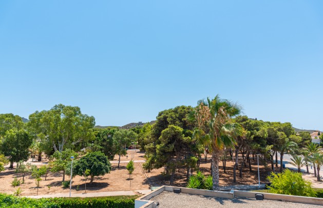 New Build - detached - Playa Paraiso