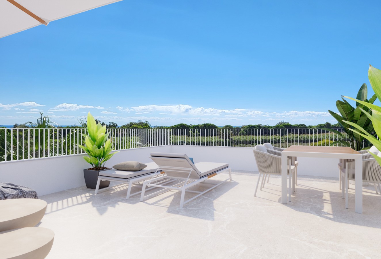 Obra nueva - detached - Elche