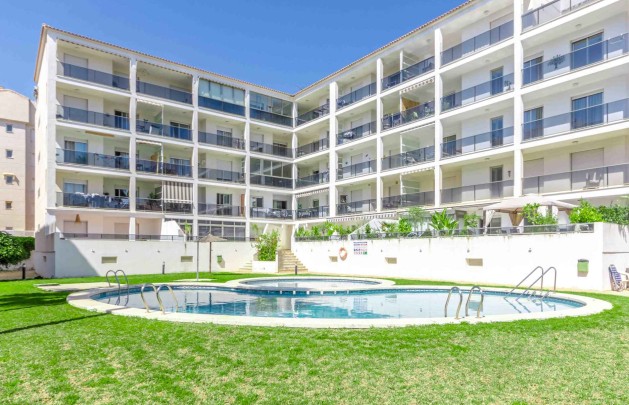 Alquiler a corto plazo - Apartamento / piso - Albir - Centro
