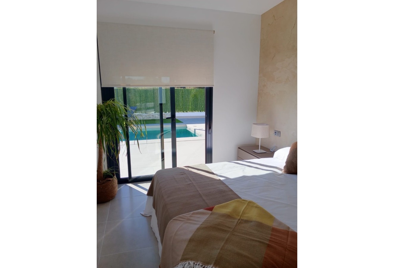 Obra nueva - detached - Calasparra