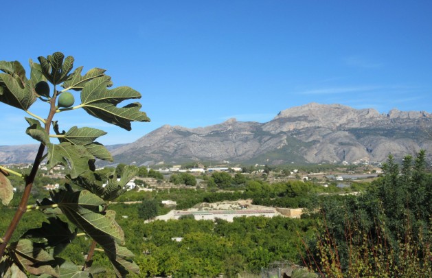 Resale - Plot / Land - Alfaz del Pi