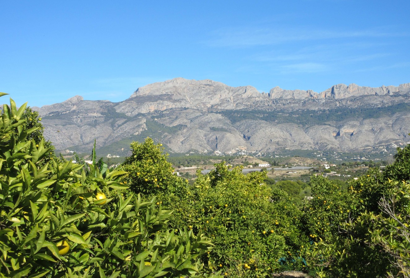 Resale - Plot / Land - Alfaz del Pi