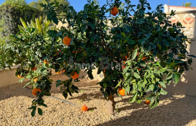 Alquiler a corto plazo - Villa - Alfaz del Pi