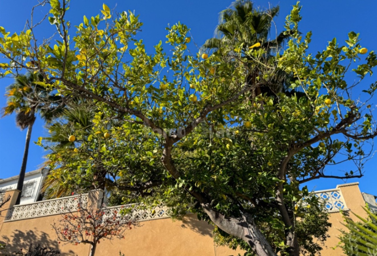 Alquiler a corto plazo - Villa - Alfaz del Pi