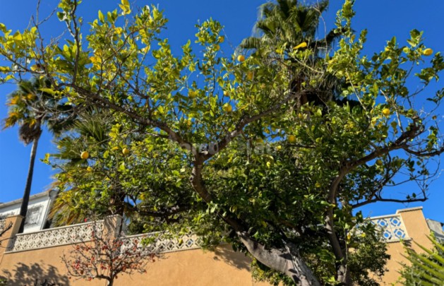 Alquiler a corto plazo - Villa - Alfaz del Pi