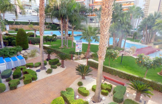 Reventa - Apartamento / piso - Benidorm - Centro