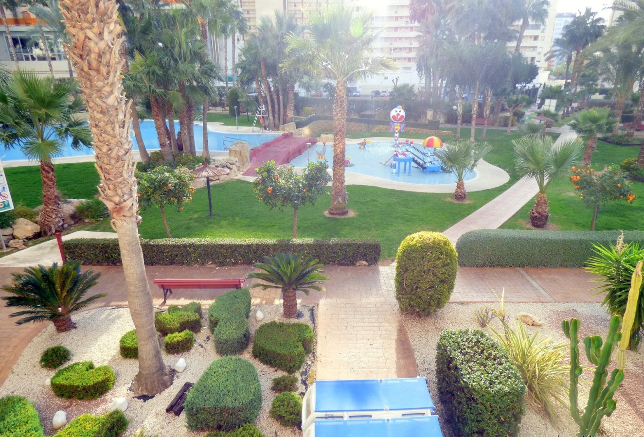 Reventa - Apartamento / piso - Benidorm - Centro