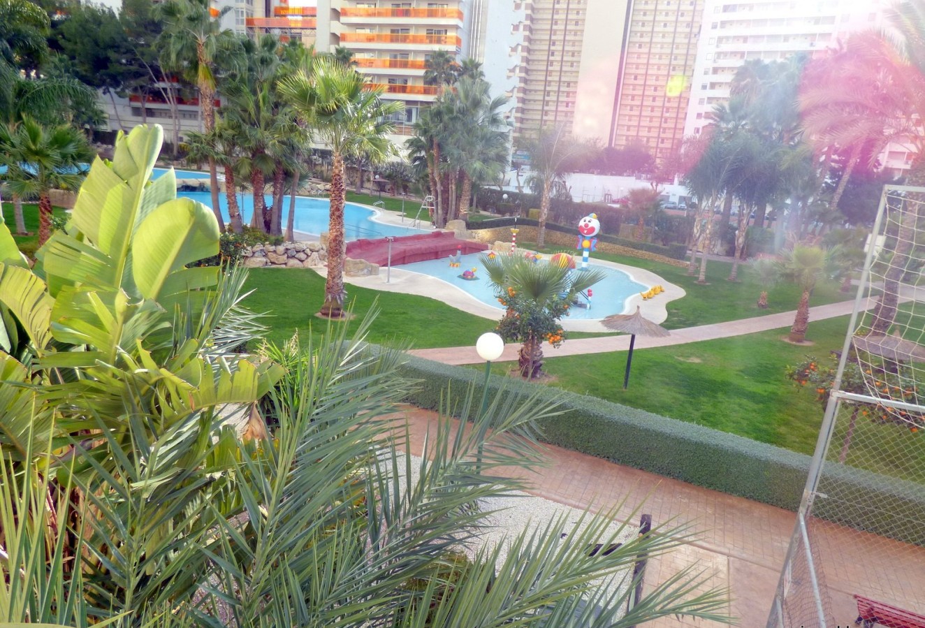 Reventa - Apartamento / piso - Benidorm - Centro