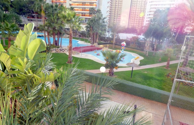 Reventa - Apartamento / piso - Benidorm - Centro